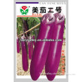 Hybrid Eggplant Seeds--Early Mature Hot Resistance Purple Red Eggplant No.2
